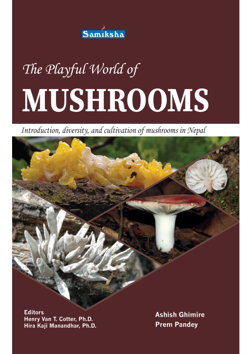 The Playful World of Mushrooms
